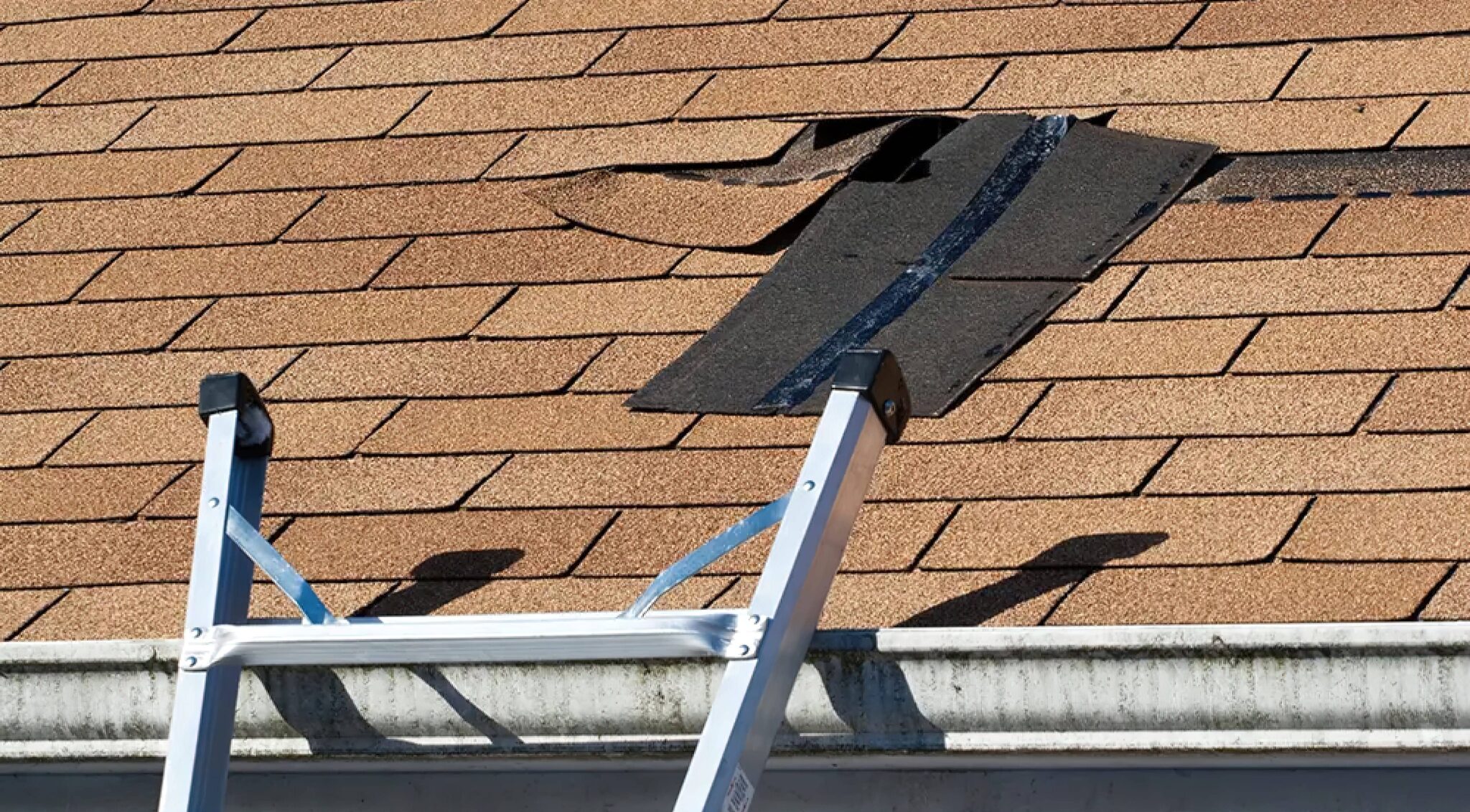 Roof Leaks